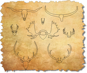 CAD Blocks Antlers